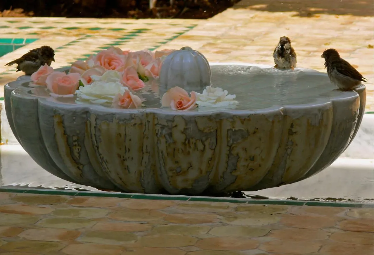 Riad El Mezouar Marrakesh Bed & Breakfast